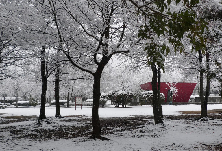 Senri Kita Park in the snow 2011□