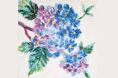 アイキャッチ：吹田の貴重な自然